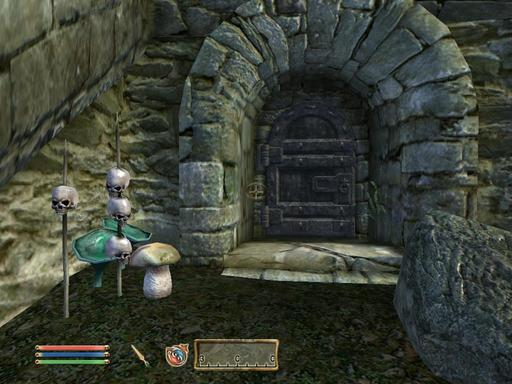 Elder Scrolls IV: Oblivion, The - Дневник имперского гастарбайтера. Том третий.